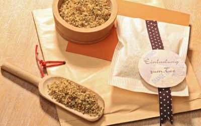 Stärkung der Abwehrkräfte mit Holunder