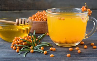 Die „Vitamin C-Kapsel vom Strauch“ – unser heimischer Sanddorn